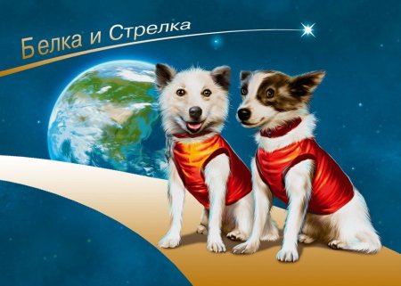 Белка и стрелка в космосе квест