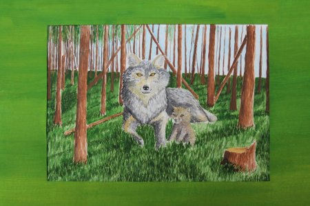 Базовые ценности рисунок для конкурса