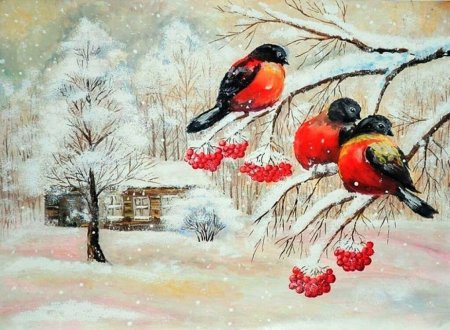 Снегирь рисунок
