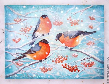 Снегирь рисунок карандашом