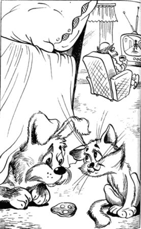 Бобик в гостях у Барбоса Николай Носов раскраска