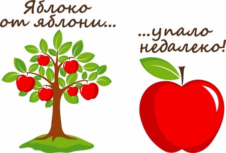 Яблочко от яблоньки