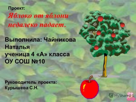 Яблоко от яблоньки недалеко падает