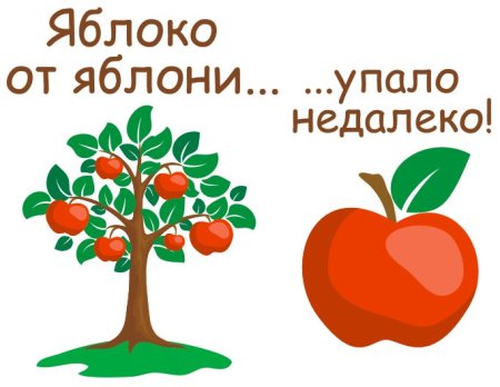 Фразеологизм яблоко от яблони