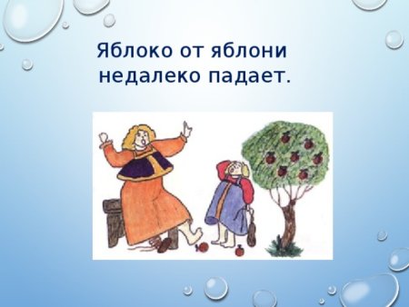 Яблоко от яблони недалеко падает
