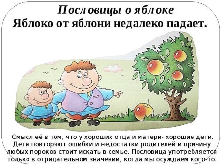 Яблоко от яблони недалеко падает