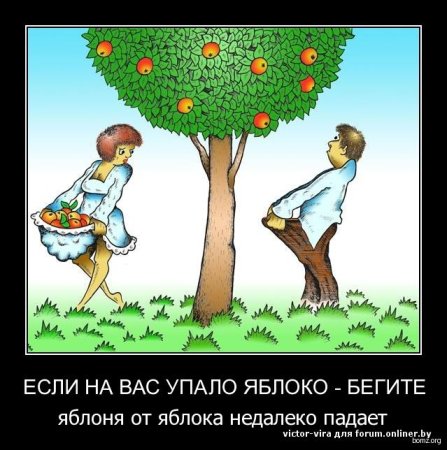 Яблоко от яблони далеко падает