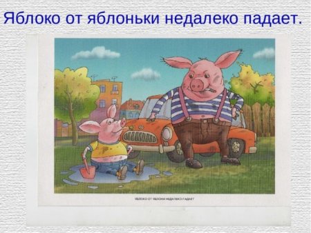 Яблоко от яблоньки недалеко падает
