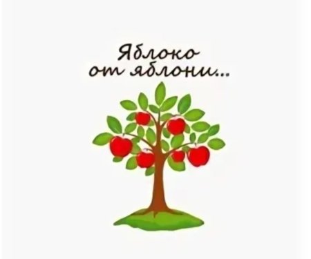 Пословица яблоко от яблони
