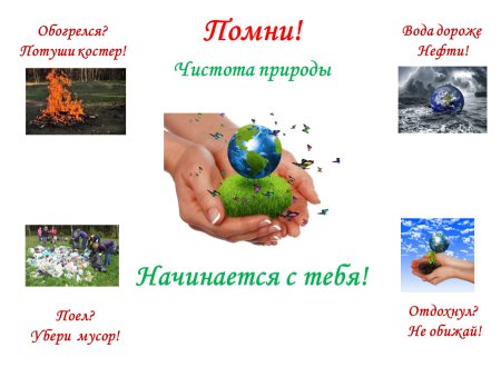 Чистота природы начинается с тебя плакат