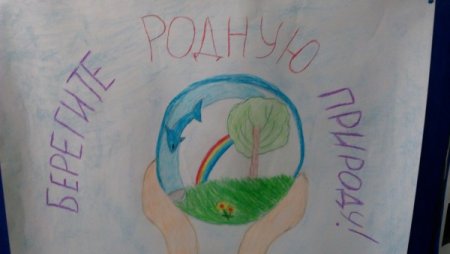 Проект на тему чистота природы