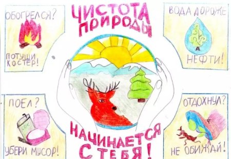 Плакат береги природу