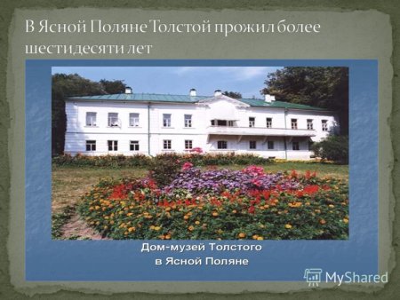 Краски Ясной Поляны