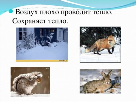 Воздух проводит тепло