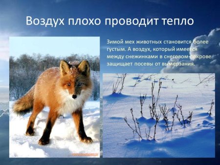 Свойства воздуха для детей