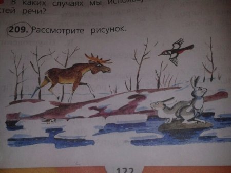 Составьте по рисунку