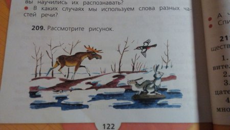 Составить 3 предложения по рисунку