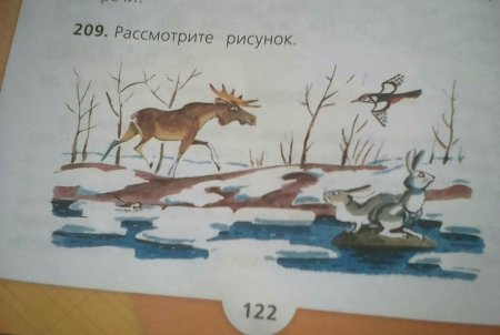 Определи тему рисунка Составь по рисунку рассказ