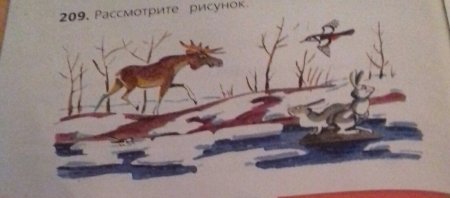 Рассмотрите рисунок. Определите тему
