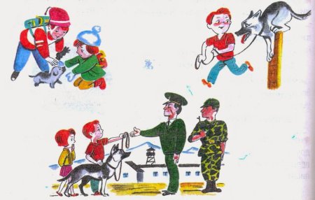 Сочинение по сюжетным рисункам