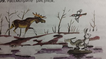Составьте по рисунку