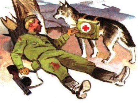 Собаки-санитары в Великой Отечественной войне