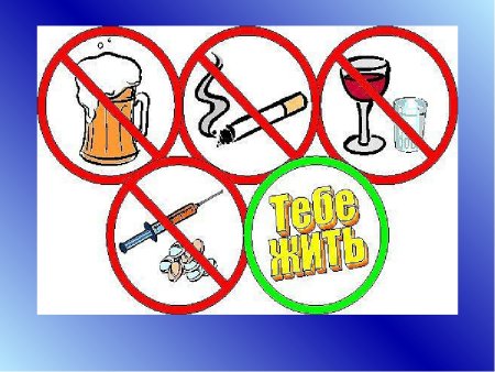 Не вредные привычки рисунки