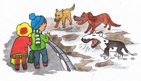 Безопасное поведение с животными