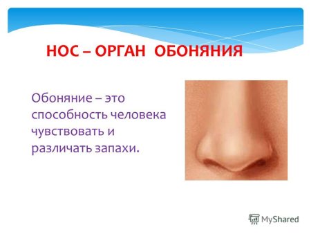 Пирсинг рисунок