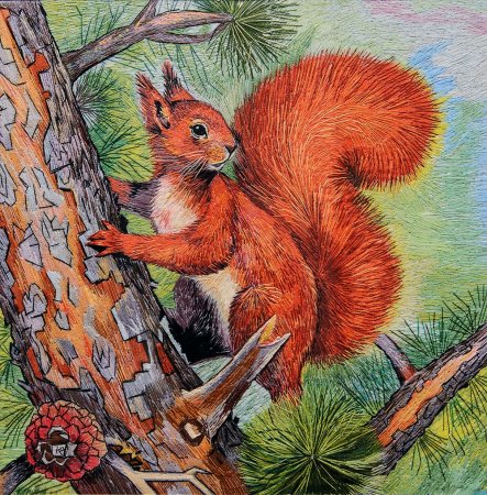 Рисование белка в подготовительной группе