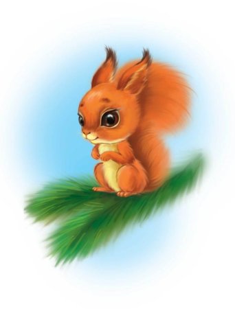 Рисунок белки