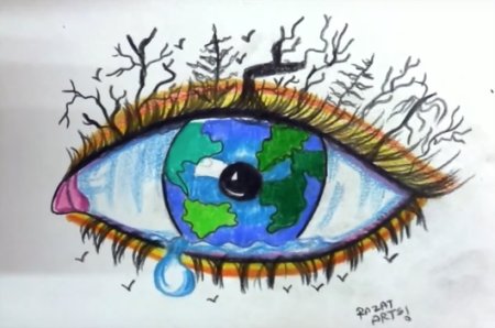 Экология глазами