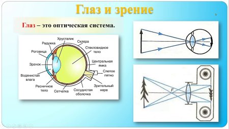 Оптика окулист