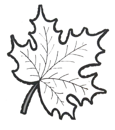 Листья раскраска