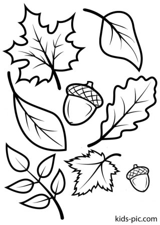 Листья деревьев раскраска