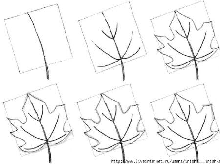 Лист клена поэтапное рисование