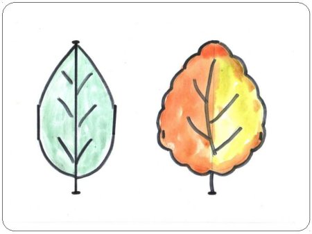 Рисование осенних листьев