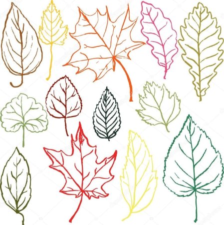 Листья рисунок