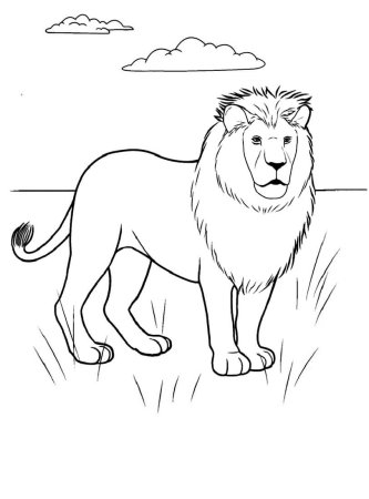 Король Лев карандашом Симба