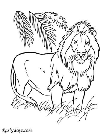 Нарисовать Льва