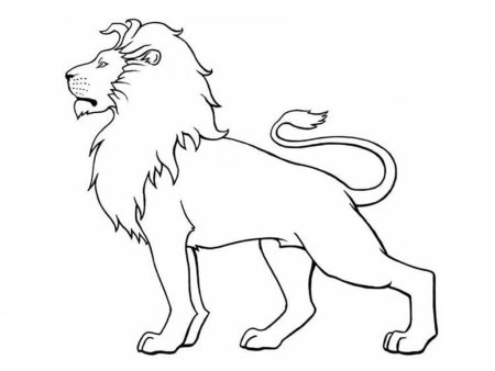 Цирковые животные раскраски