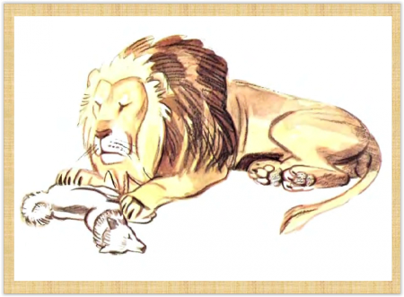 Дикие животные для срисовки