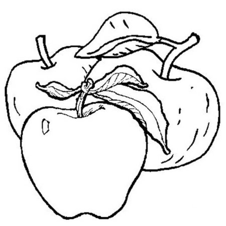 Натюрморт с яблоками раскраска