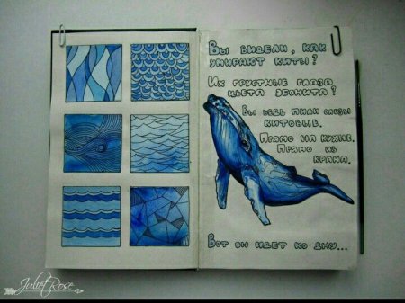 Дневник кит