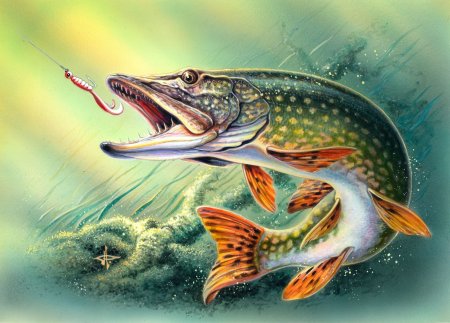 Гранни набор алмазной вышивки щука (AG 245) 38х27 см