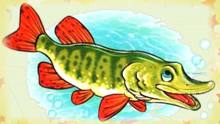 Щука рисунок