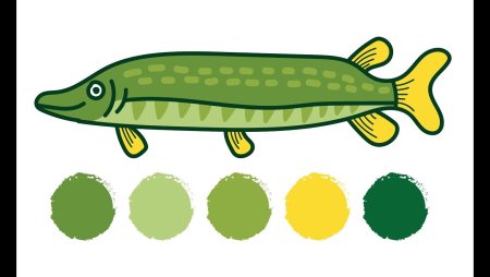 Щука раскраска