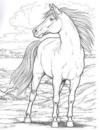 Конь рисунок