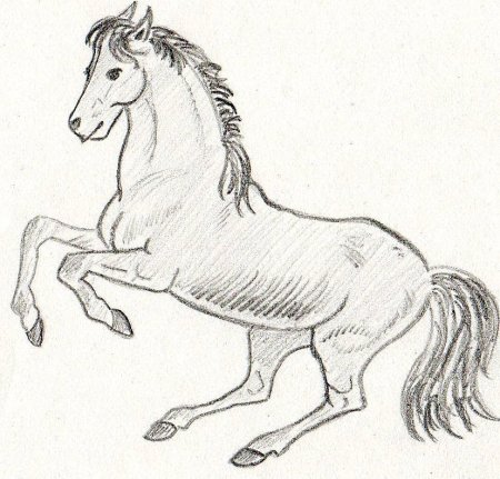 Рисование кони пасутся