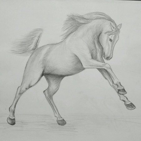 Рисование кони пасутся